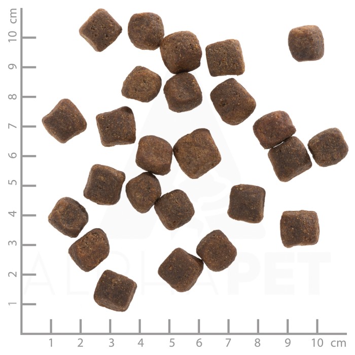 Wolfsblut Dark Forest Adult, Trockenfutter, 12,5 kg, WB784608